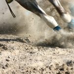 Winning Strategies: Expert Tips for Successful Horse Racing Bets